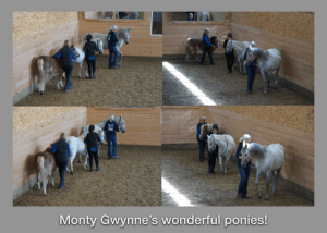 drill team Monty's ponies