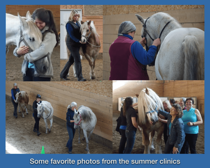 favorite photos from 2015 clinics 2