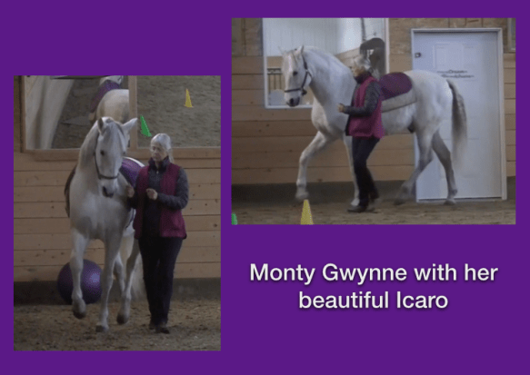 Monty and Icky 2 photos