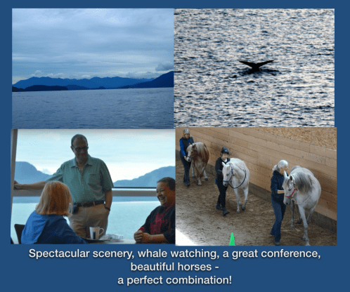 scenery whales conference horses