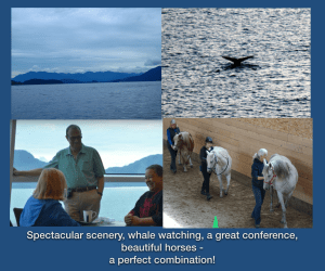 scenery whales conference horses