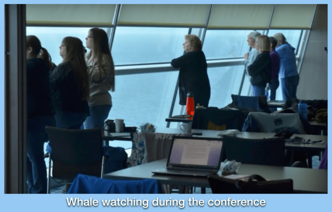 whale watching during conference