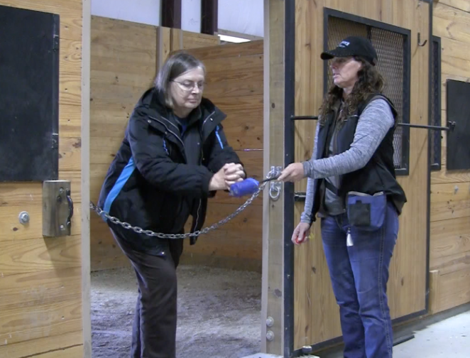 Human targeting game