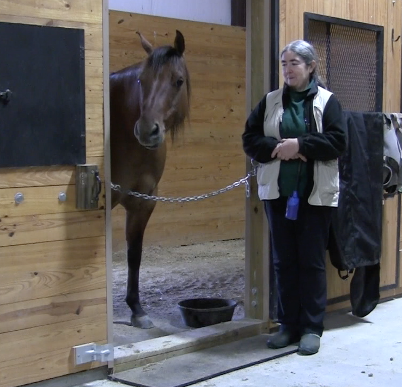 Nick grown ups look away