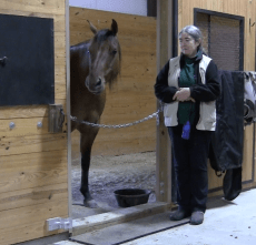 Nick grown ups look away