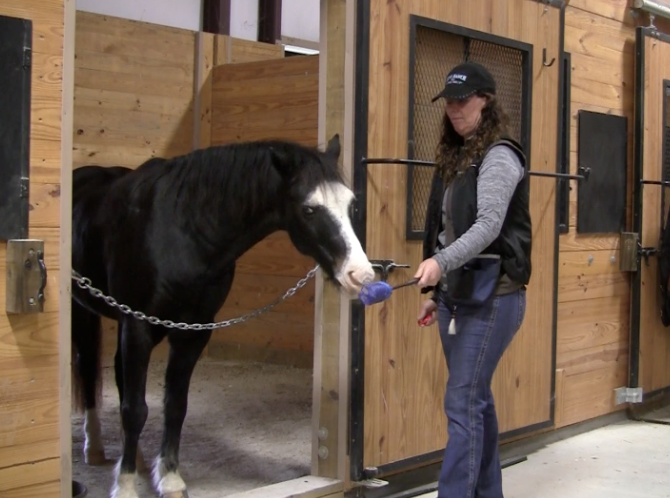 Puffin targeting in stall