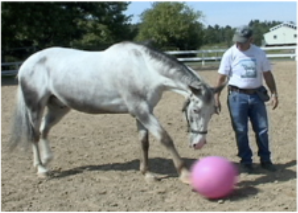 aa crackers hit ball