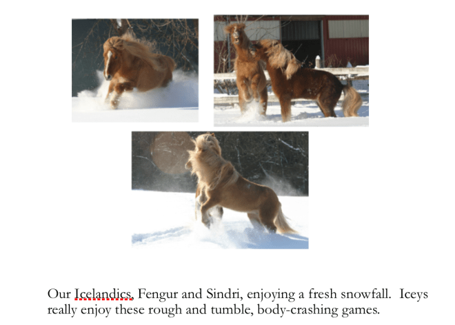 aa Iceys play in snow 3 pictures caption