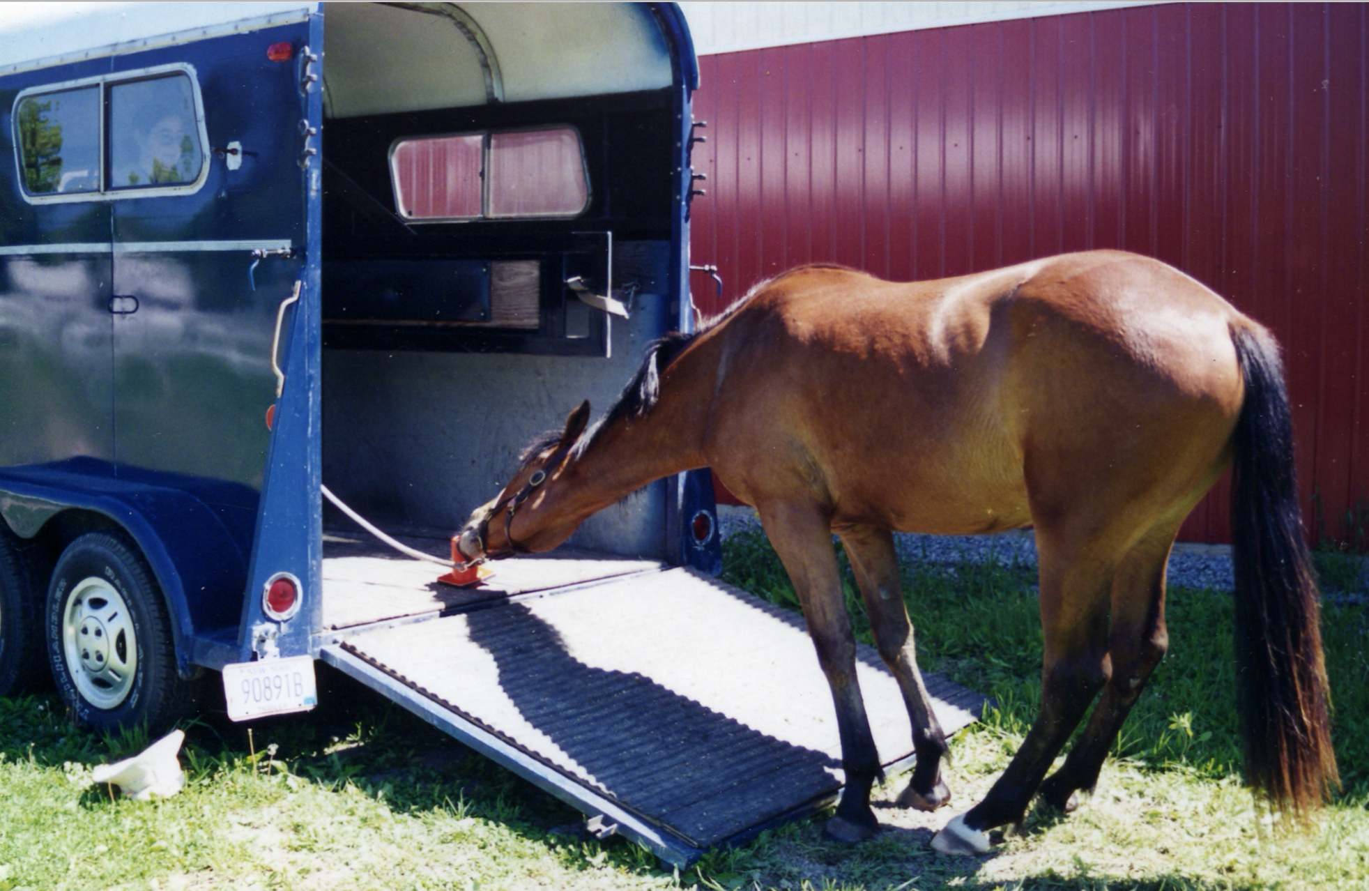 aa trailer loading Robin.png