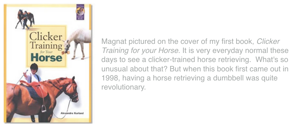 CTFYH cover with caption1