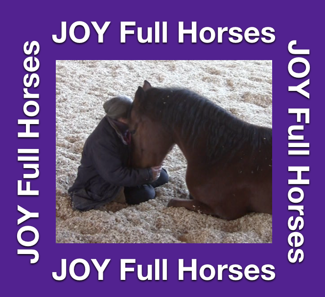 Robin in box purple JOY FULL