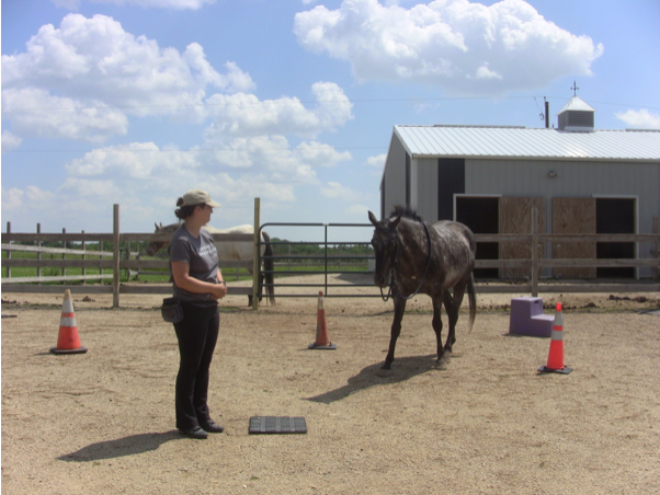 Harrison backing off mat