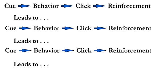 loopy training diagram