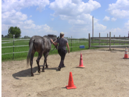 Natalie with Harrison