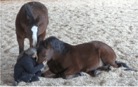 Peregrine Robin family time