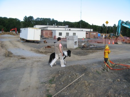 IMG_1989 Panda Ann construction