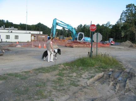 IMG_1990 Panda Ann construction