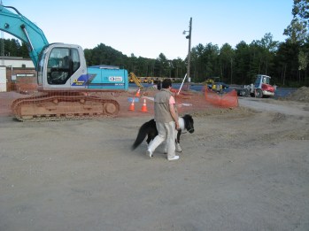 IMG_1991 Panda Ann construction