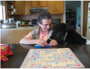 Panda Ann Scrabble