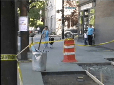 Panda sidewalk construction