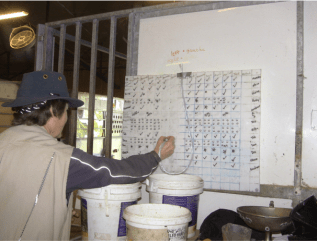 white board for record keeping