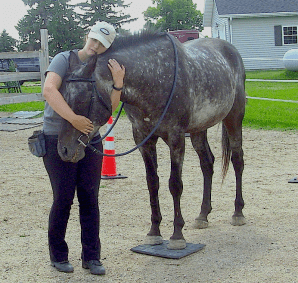 Harrison on mat hug cropped