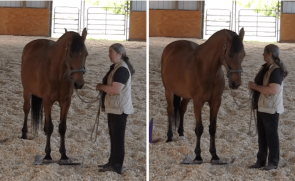 Robin grups comaprison 2016-06-19 at 3.26.11 PM