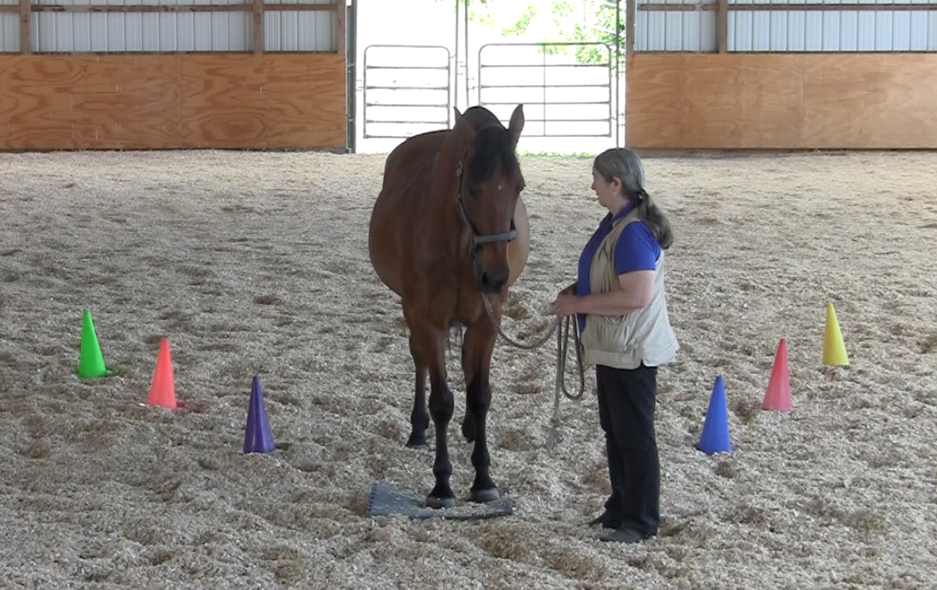 Robin halt on mat 2016-06-22 at 2.34.39 PM