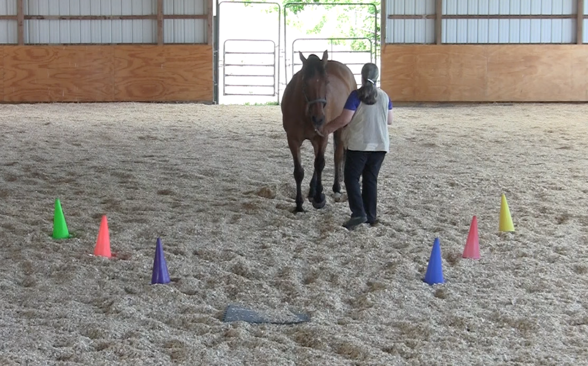 Robin mat back one step 2 2016-06-22 at 4.16.26 PM