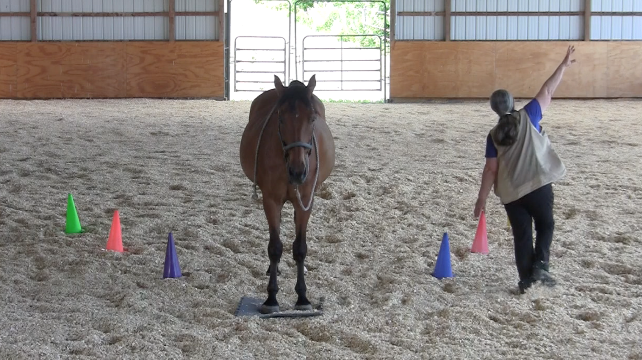 Robin on mat airplane 1 2016-06-22 at 3.03.26 PM
