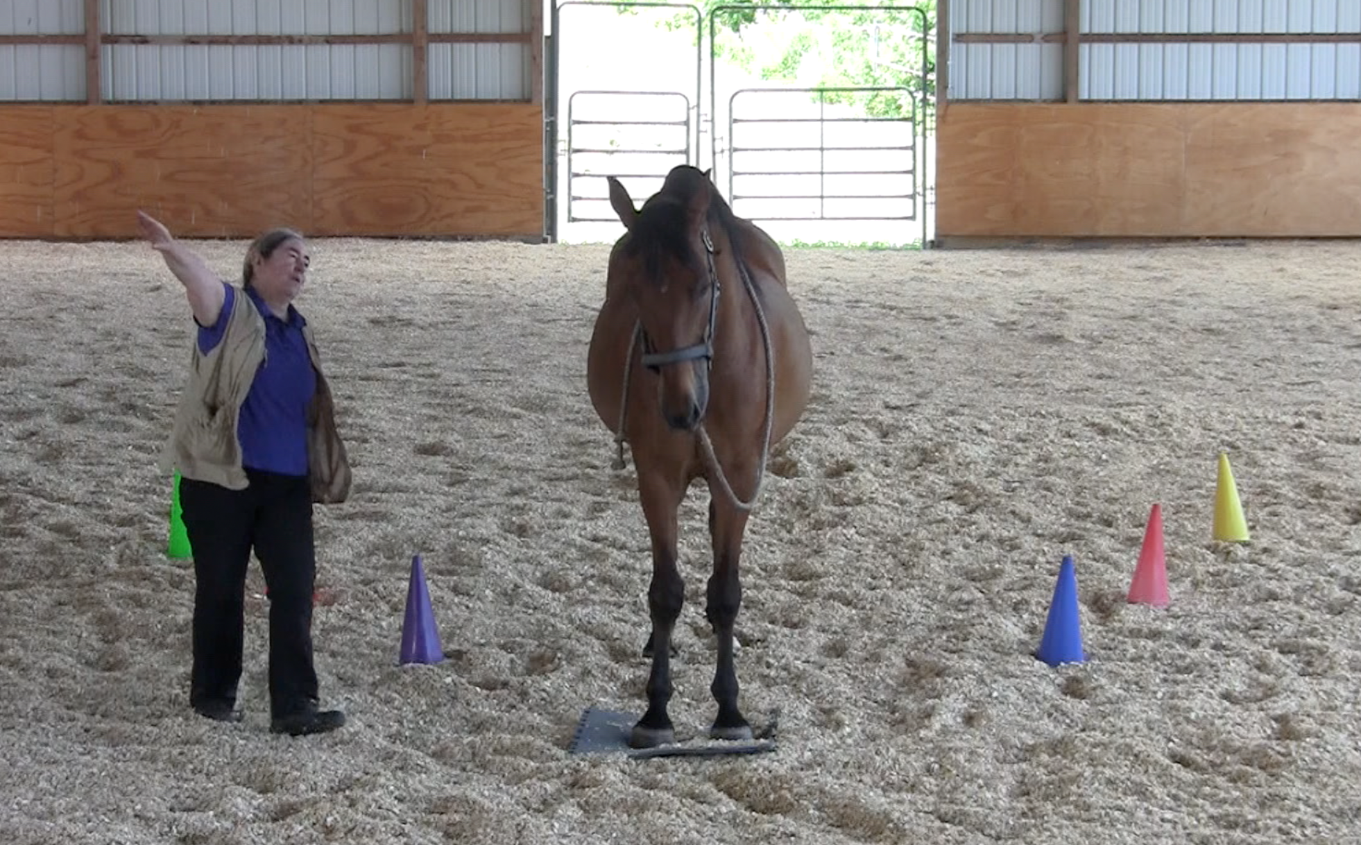 Robin on mat airplane rgt side 2016-06-22 at 3.03.56 PM