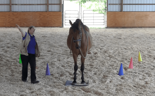 Robin on mat airplane rgt side 2016-06-22 at 3.03.56 PM