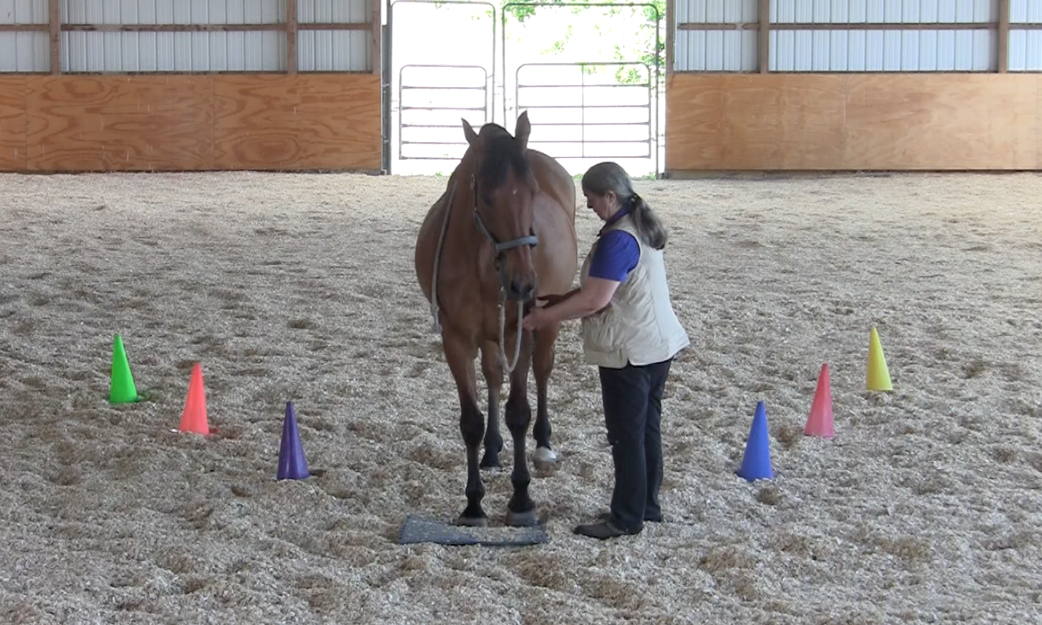 Robin on mat ask for foot 2 2016-06-22 at 2.39.13 PM
