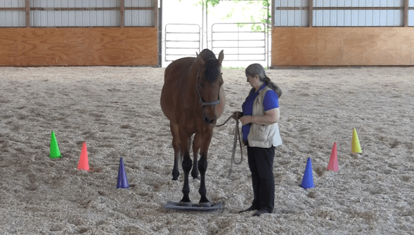 Robin on mat grups 2016-06-22 at 2.56.18 PM