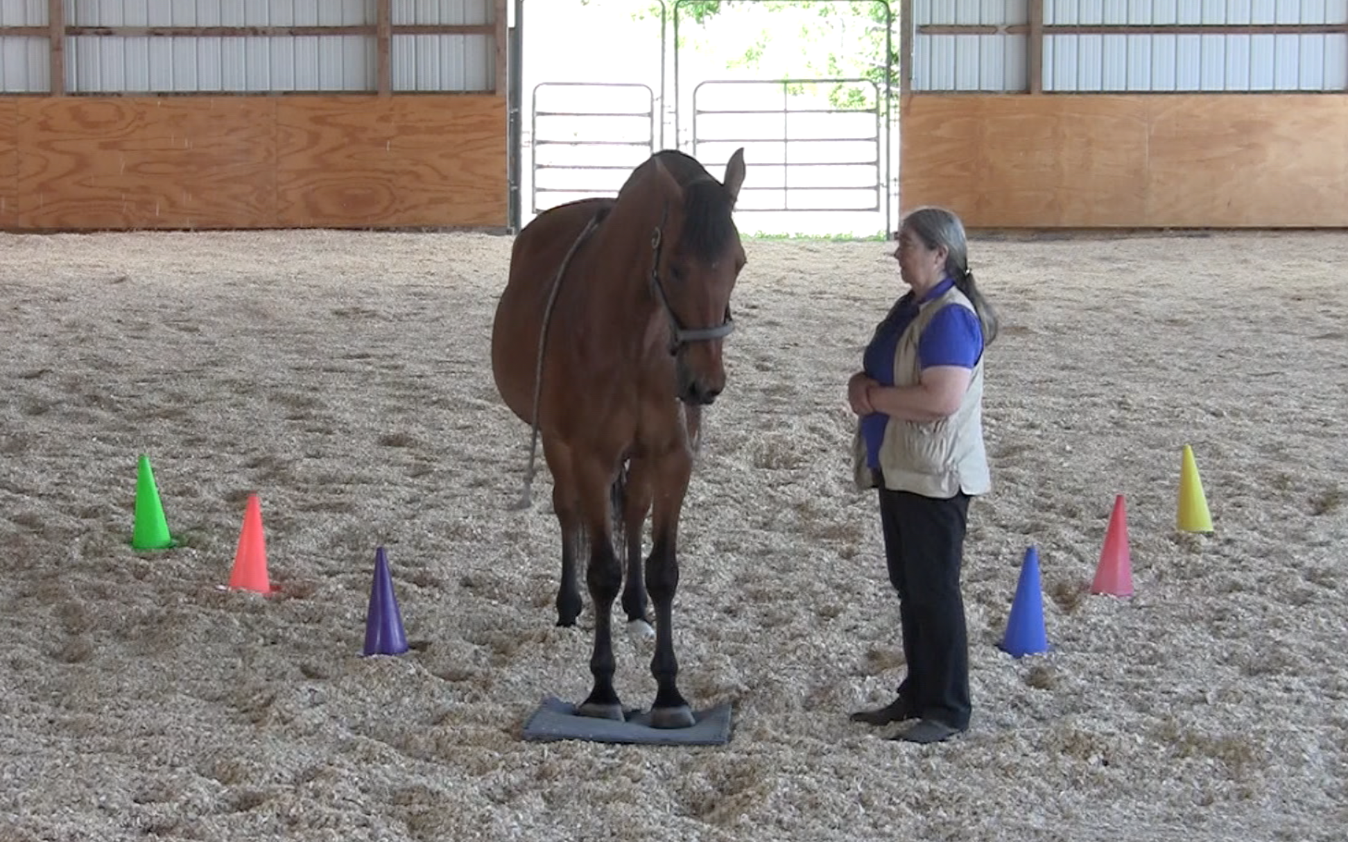 Robin on mat grups at distance 2016-06-22 at 2.56.57 PM