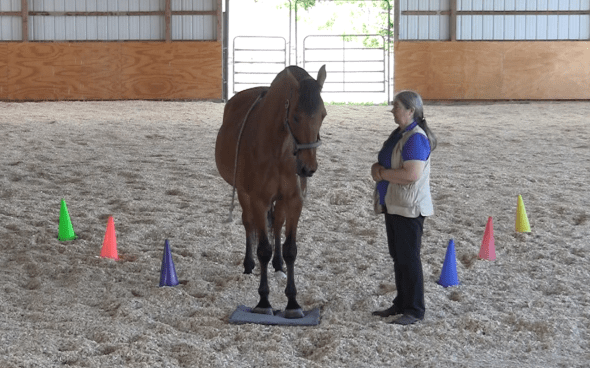 Robin on mat grups at distance 2016-06-22 at 2.56.57 PM