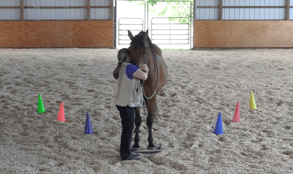 Robin on mat hug 1 2016-06-22 at 3.04.16 PM
