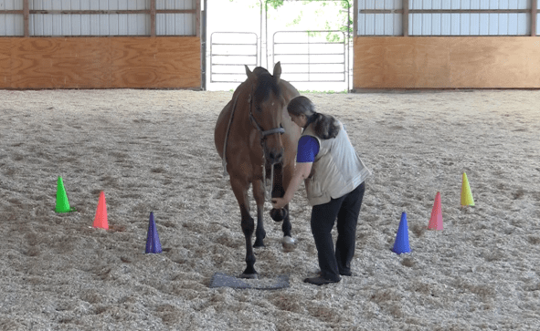 Robin on mat knee target 2016-06-22 at 2.39.27 PM