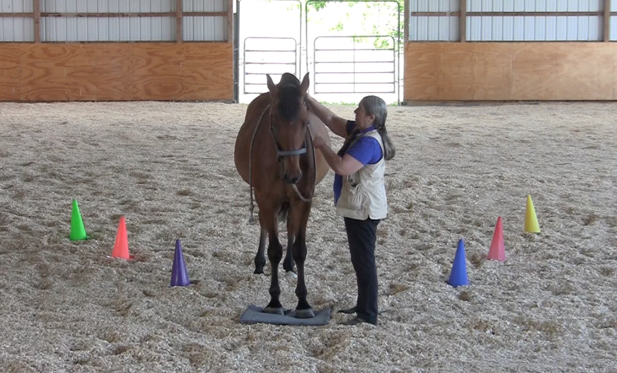 Robin on mat play with mane 2016-06-22 at 2.57.44 PM
