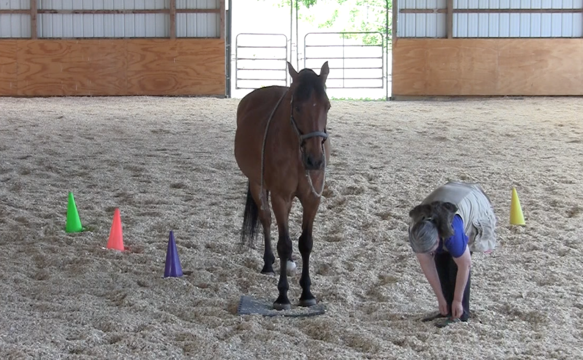Robin on mat tie shoes 2016-06-22 at 3.00.36 PM