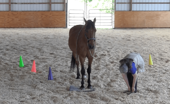 Robin on mat tie shoes 2016-06-22 at 3.00.36 PM