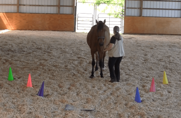 Robin Runway 2nd back 2016-06-18 at 6.14.13 PM