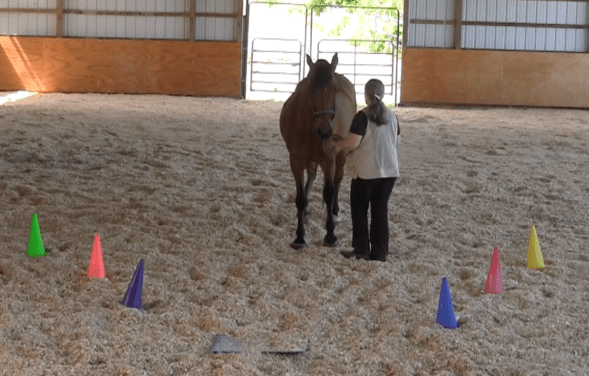 Robin Runway 2nd back con't 2 2016-06-18 at 6.14.22 PM