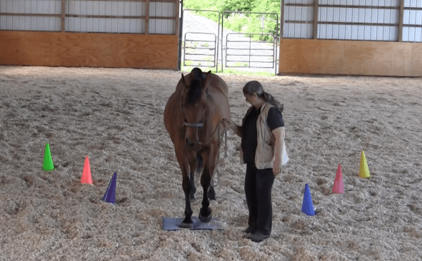 Robin Runway 2nd foot landing on mat 2016-06-18 at 6.07.53 PM
