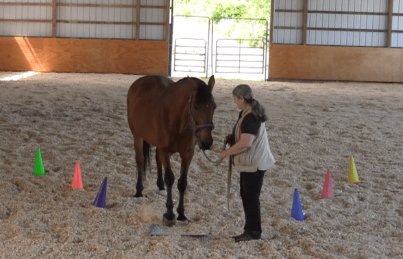 Robin Runway ask to step on mat 2 2016-06-18 at 6.18.26 PM