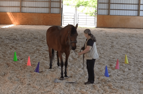 Robin Runway ask to step on mat 3 2016-06-18 at 6.18.33 PM