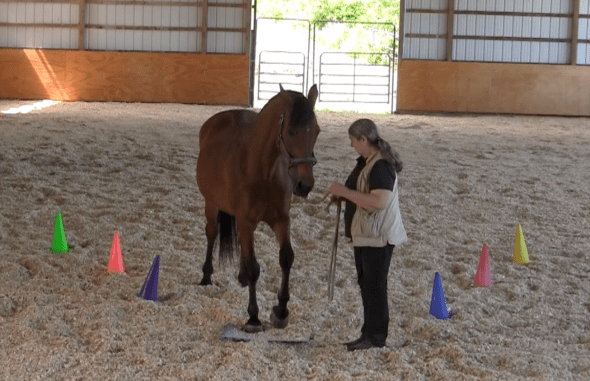 Robin Runway ask to step on mat 4 2016-06-18 at 6.18.43 PM