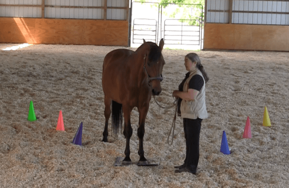 Robin Runway ask to step on mat grups 2016-06-18 at 6.19.26 PM