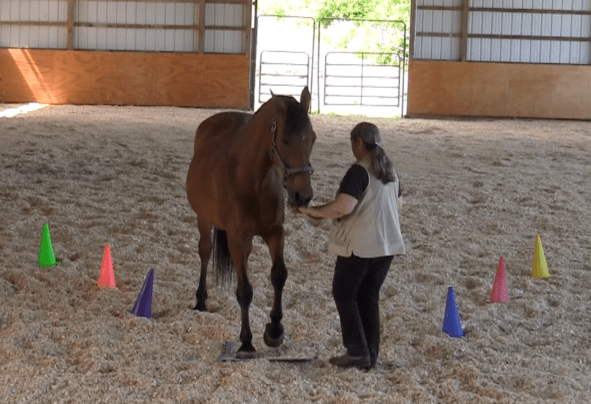 Robin Runway back off mat 1 2016-06-18 at 6.20.14 PM