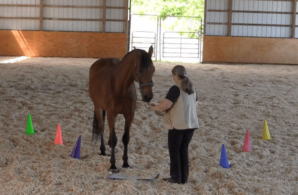 Robin Runway back off mat 2  2016-06-18 at 6.20.29 PM